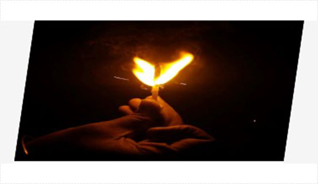 Fire alarm system 08